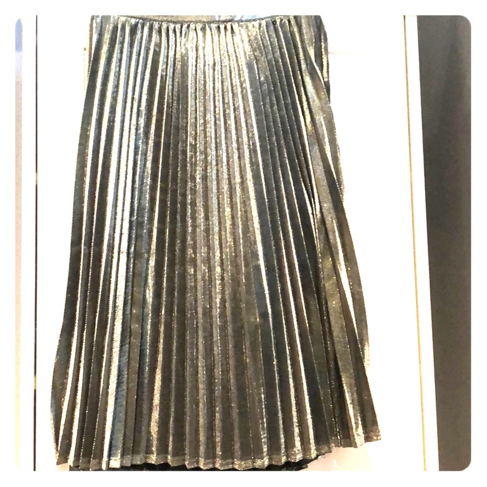 Medium Length Essue Skirt